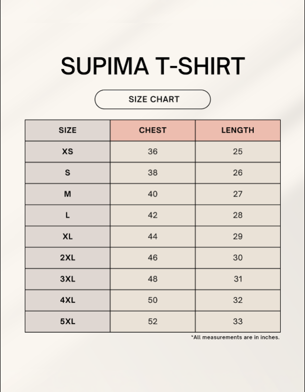 Spicy Biryani Telugu Unisex Supima T-Shirt
